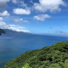 地元の奄美大島 | スタッフブログ